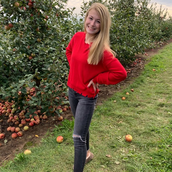 Meet your Posher, Willow - Picture 2 of 4